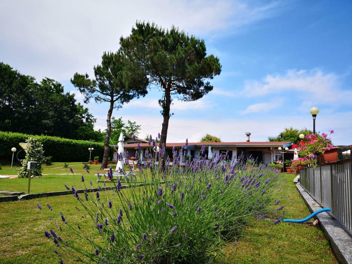 Progetto Vacanze Invorio Inferiore Eksteriør billede